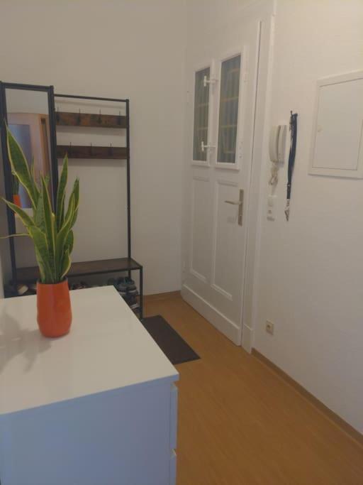 Apartment In Der Naehe Der Suedvorstadt